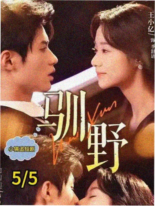 泪之女王 韩国电视剧海报